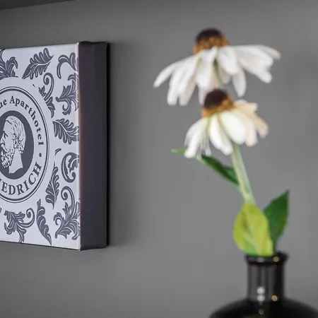 Aparthotel Friedrich Boutique-apartments 5*